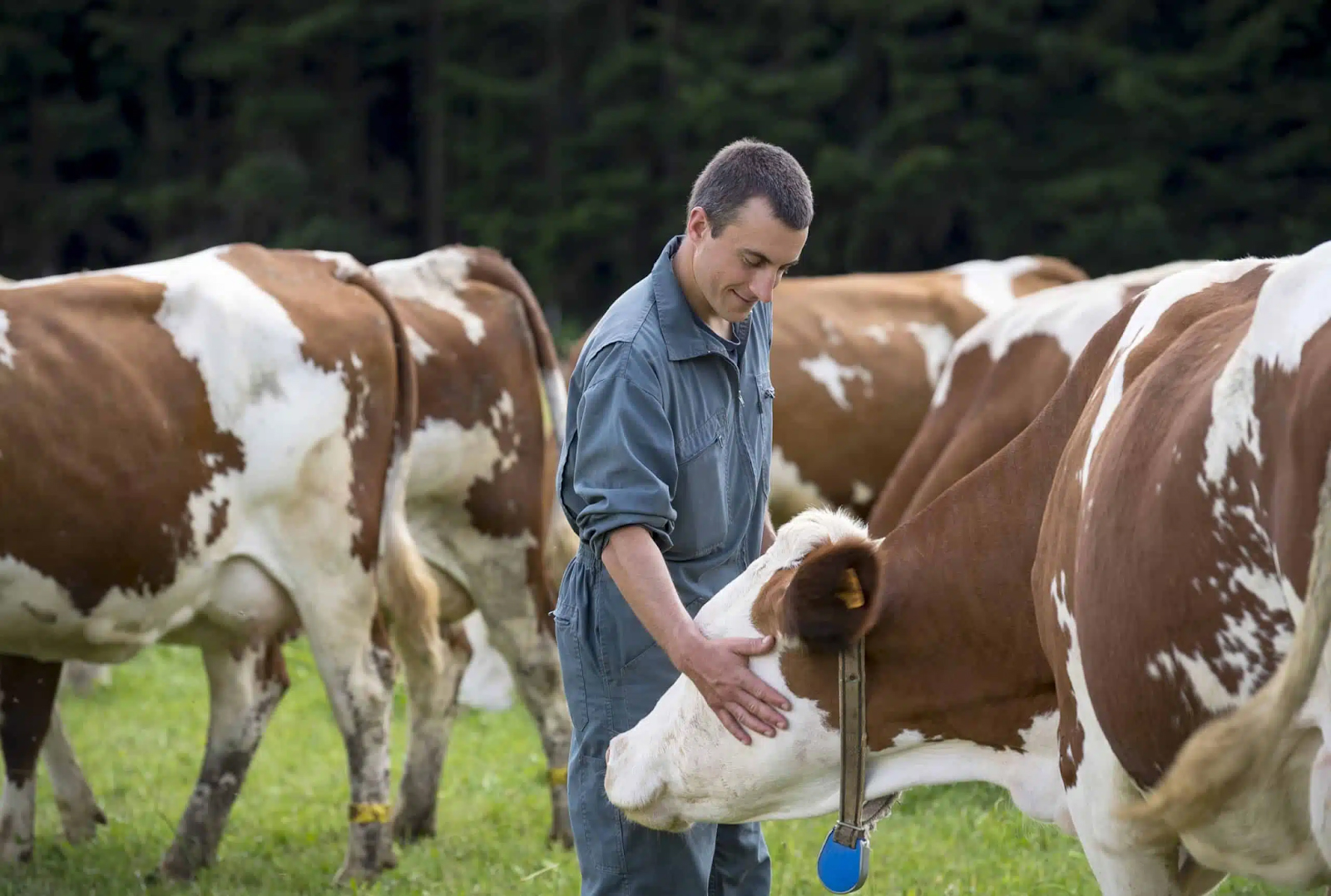 nnnn-xahoi.com.vn-w1600-h1077 nnnn-xahoi.com.vn-w1600-h1077