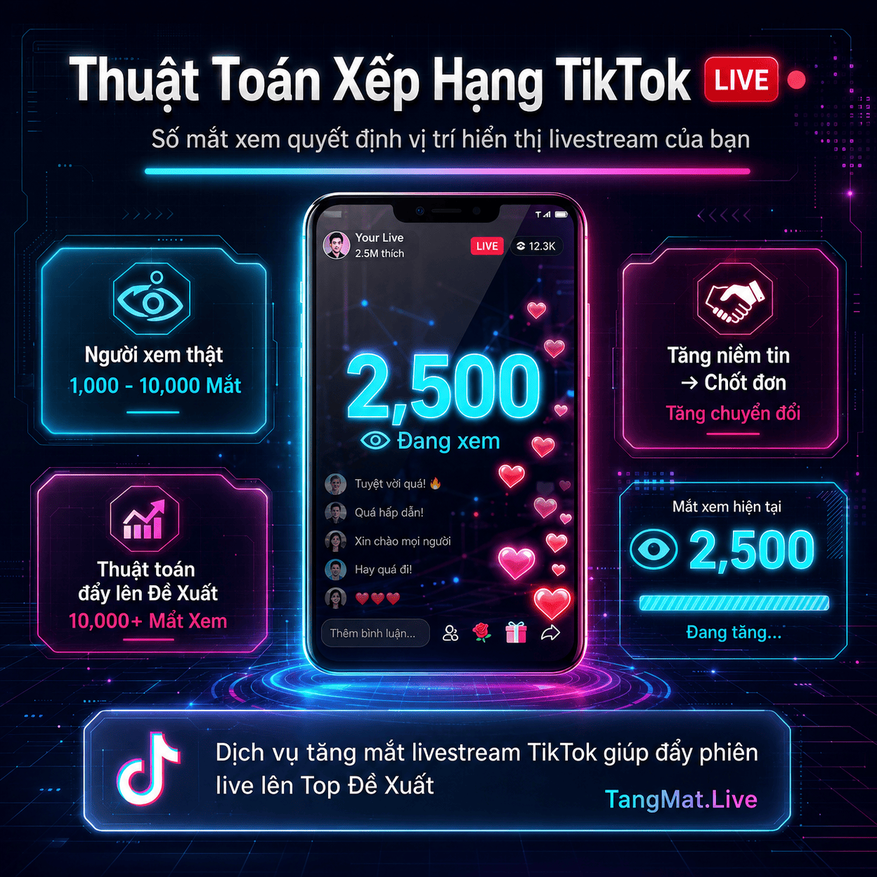 Thuật Toán Xếp Hạng TikTok LIVE - Số Mắt Xem Quyết Định Vị Trí Hiển Thị Livestream
